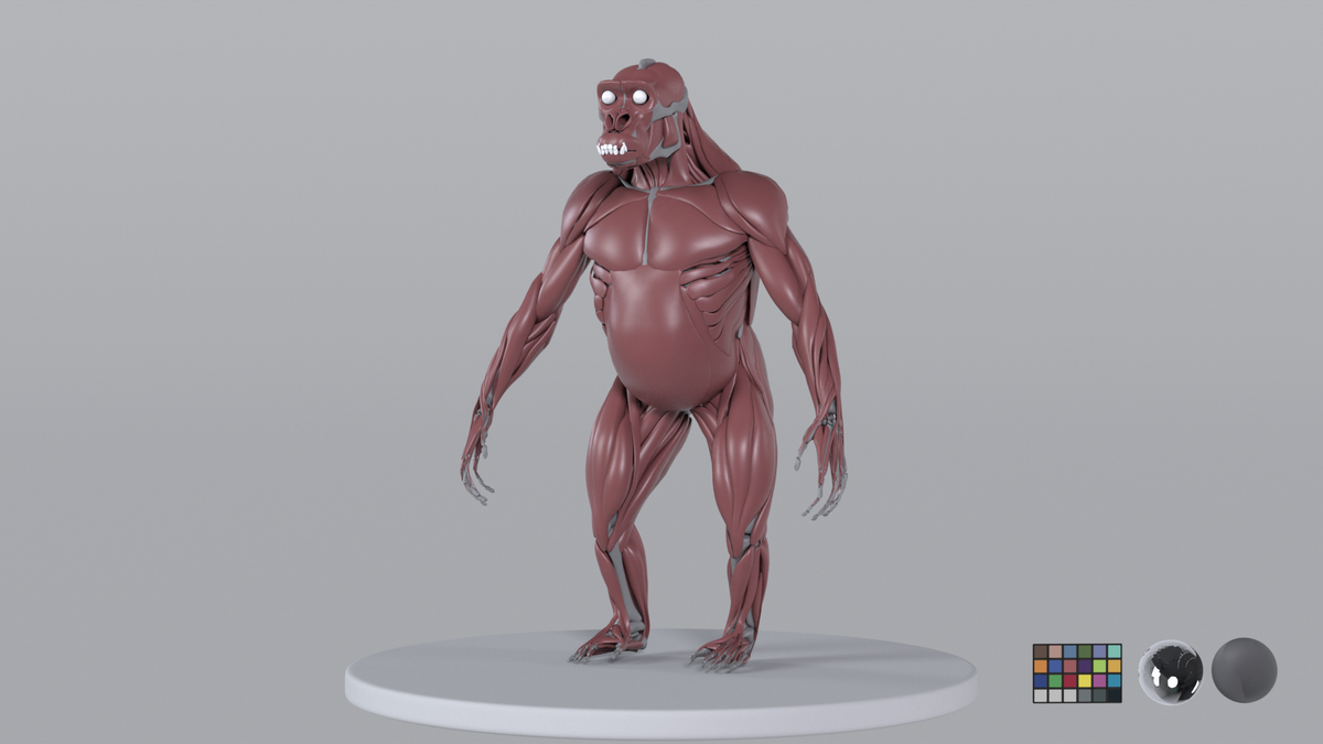 Chimpanzee