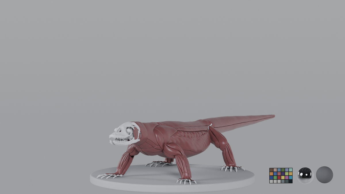 Komodo Dragon