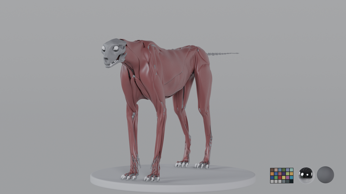 Cheetah