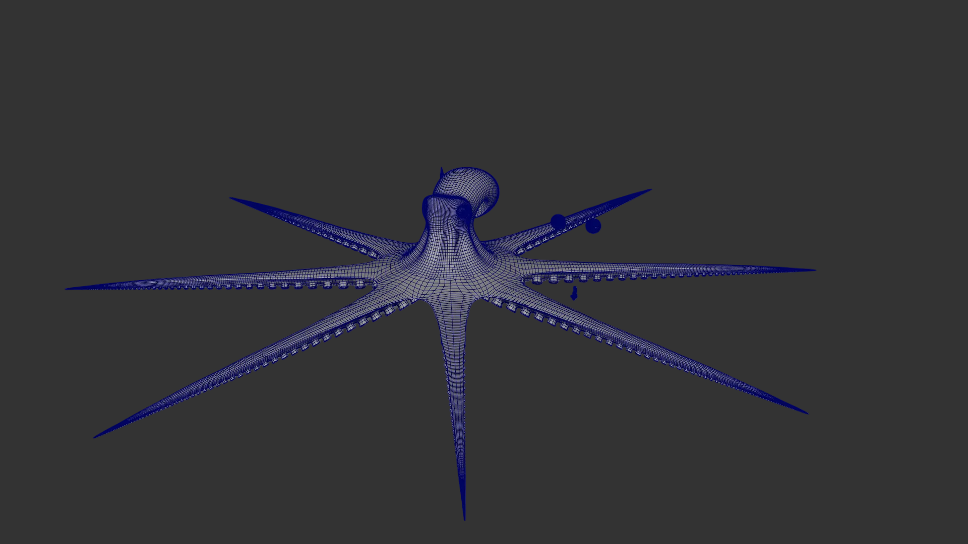 Octopus