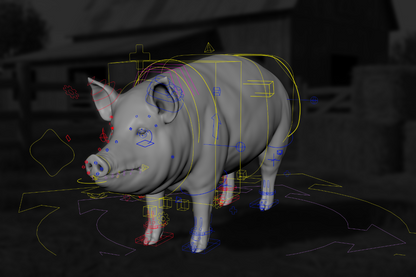 Pig