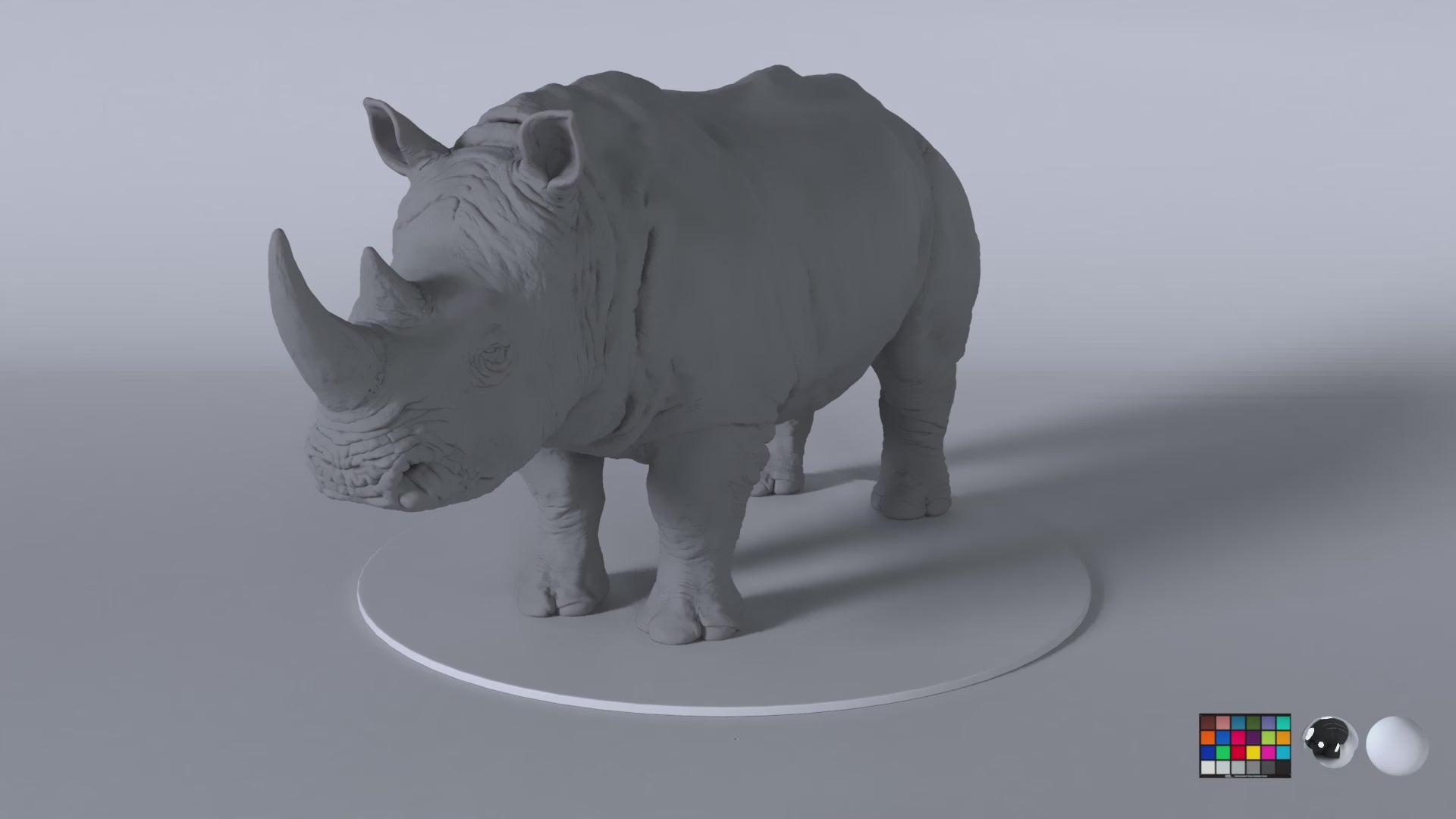 White Rhino