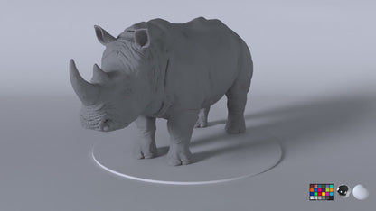 White Rhino