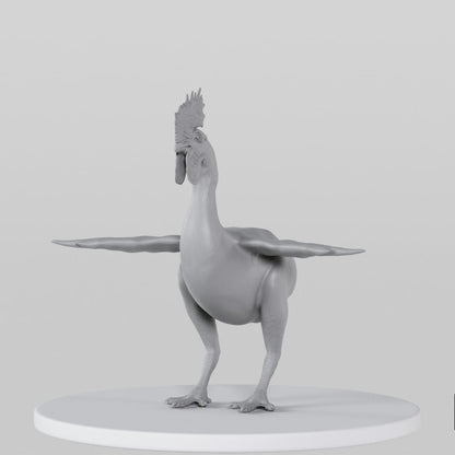 Rooster