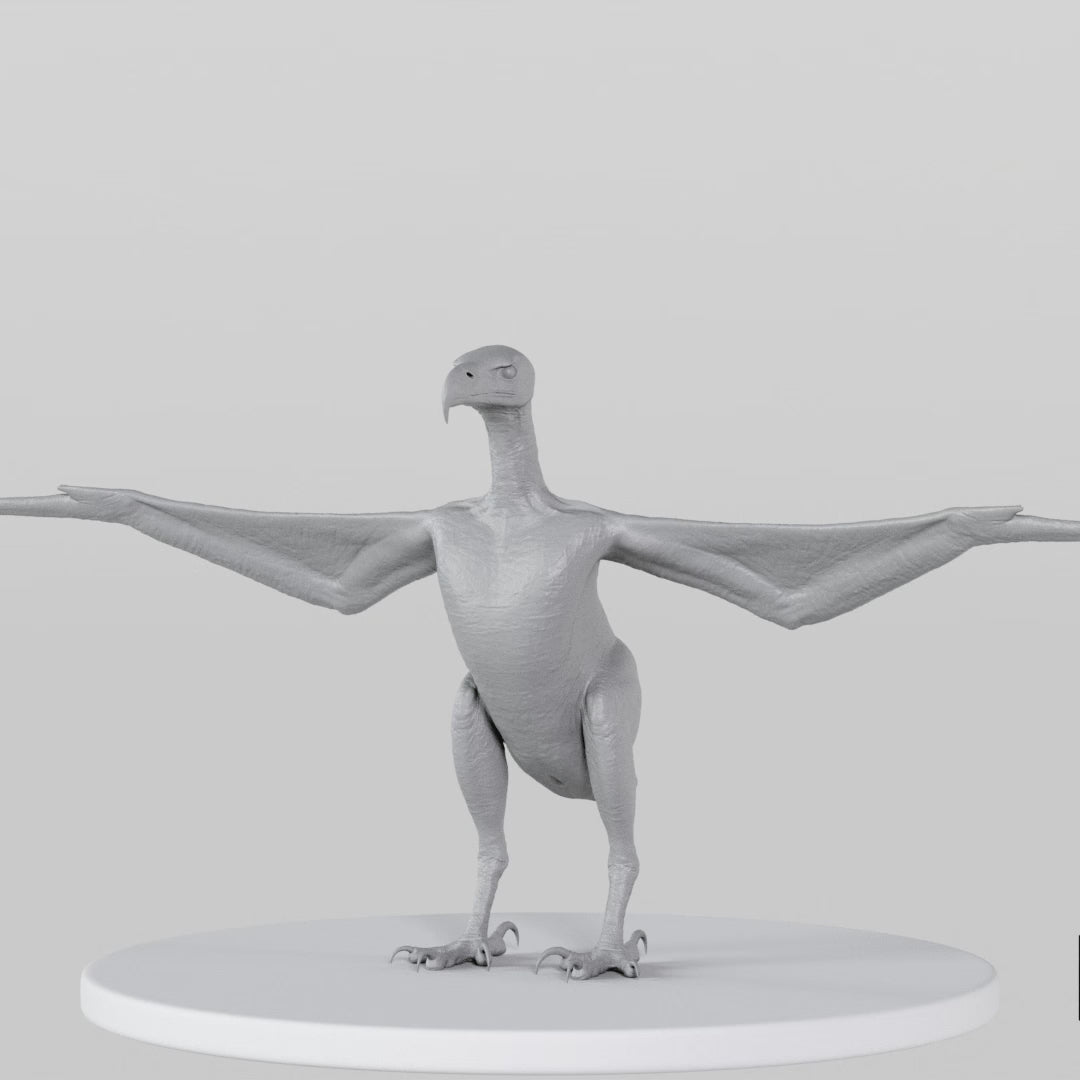 Load video: Eagle
