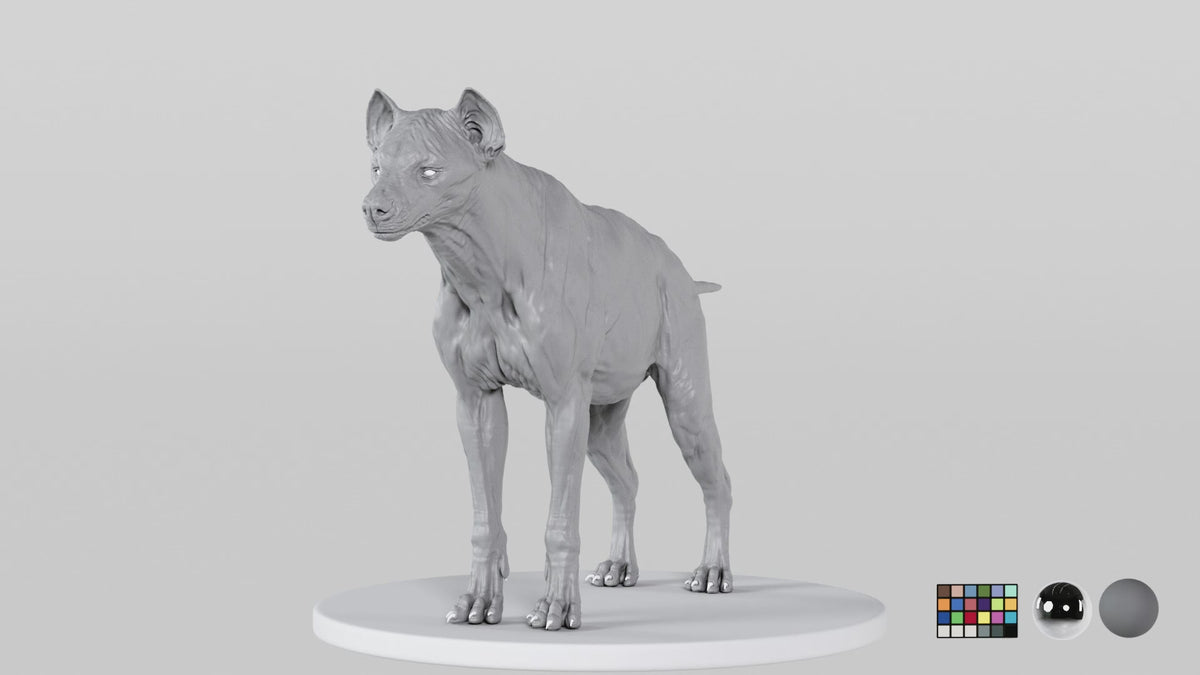 Hyena