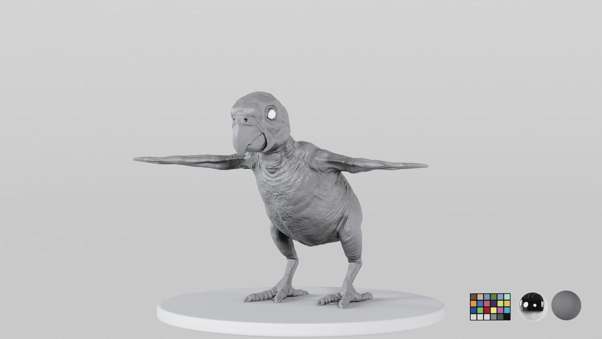 Parrot