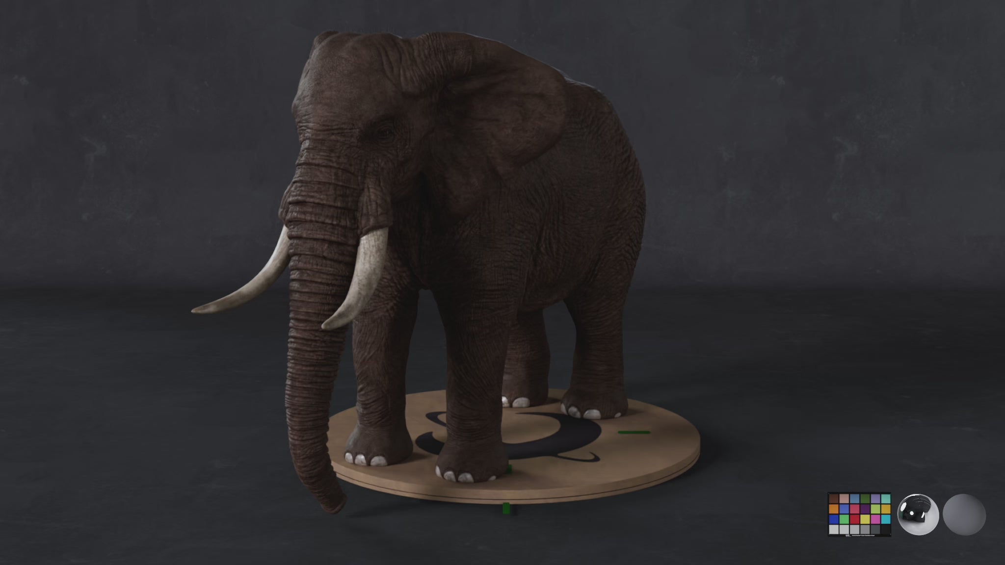 African Elephant