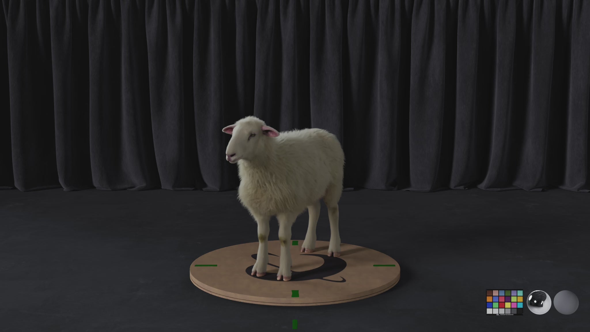Sheep