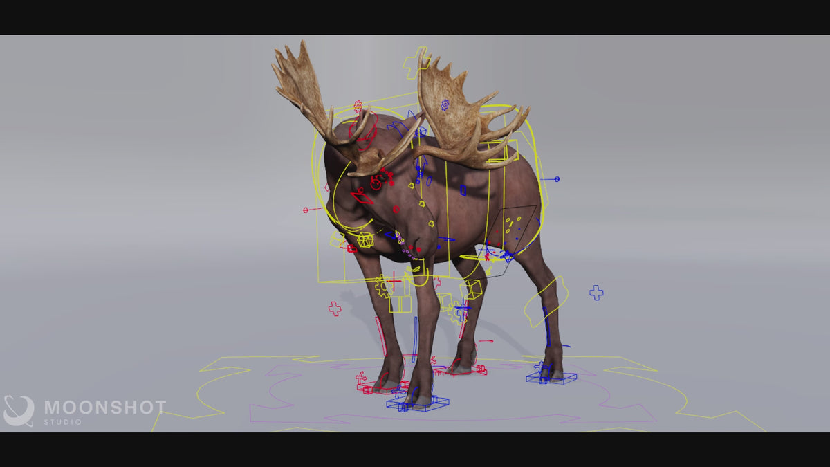 Moose