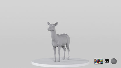 Female Deer