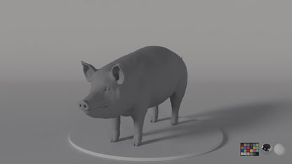 Pig