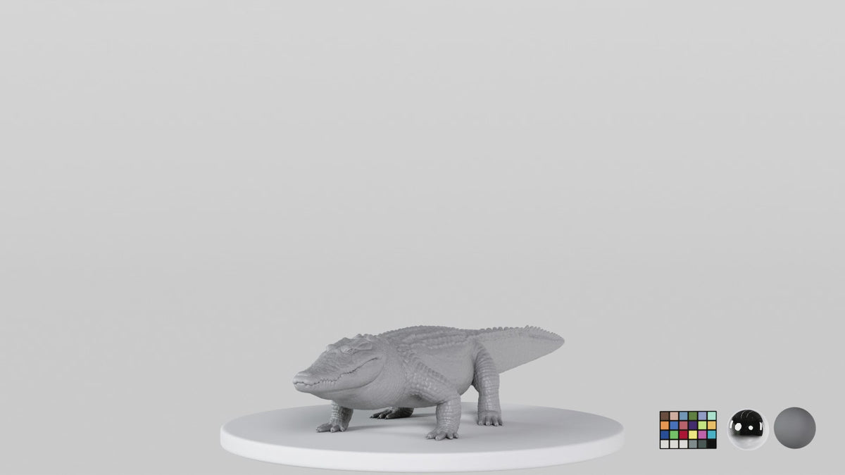 Crocodile