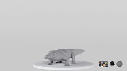 Crocodile