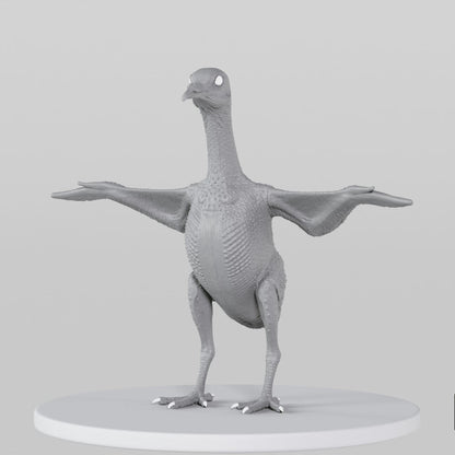 Pigeon