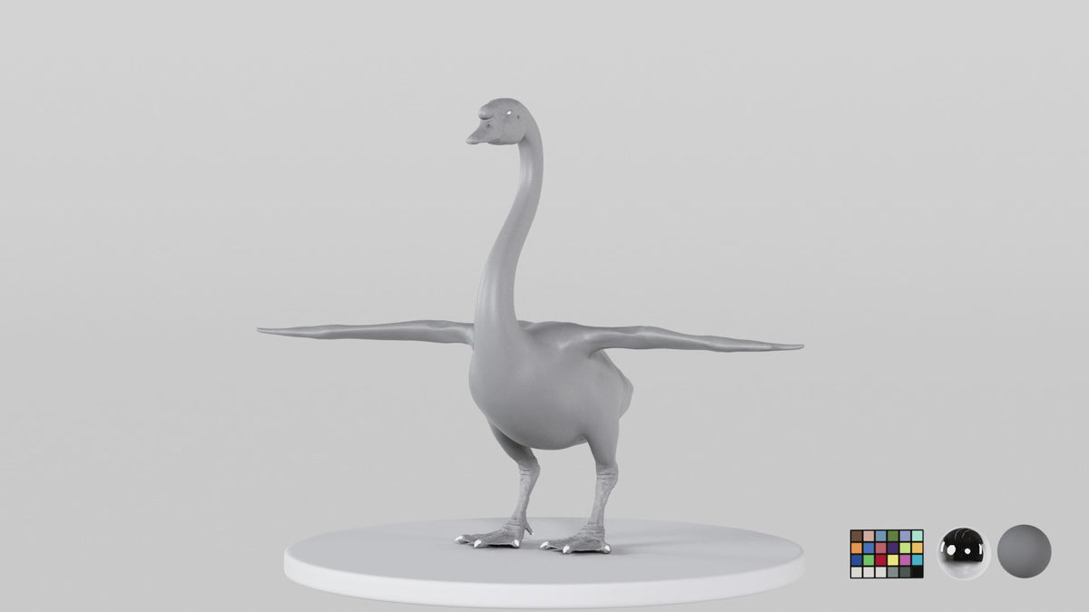 Swan