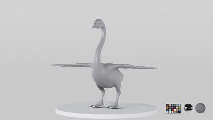 Swan
