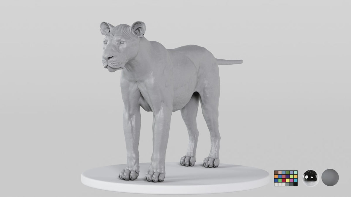 Lioness