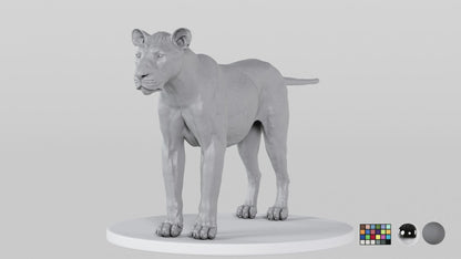 Lioness