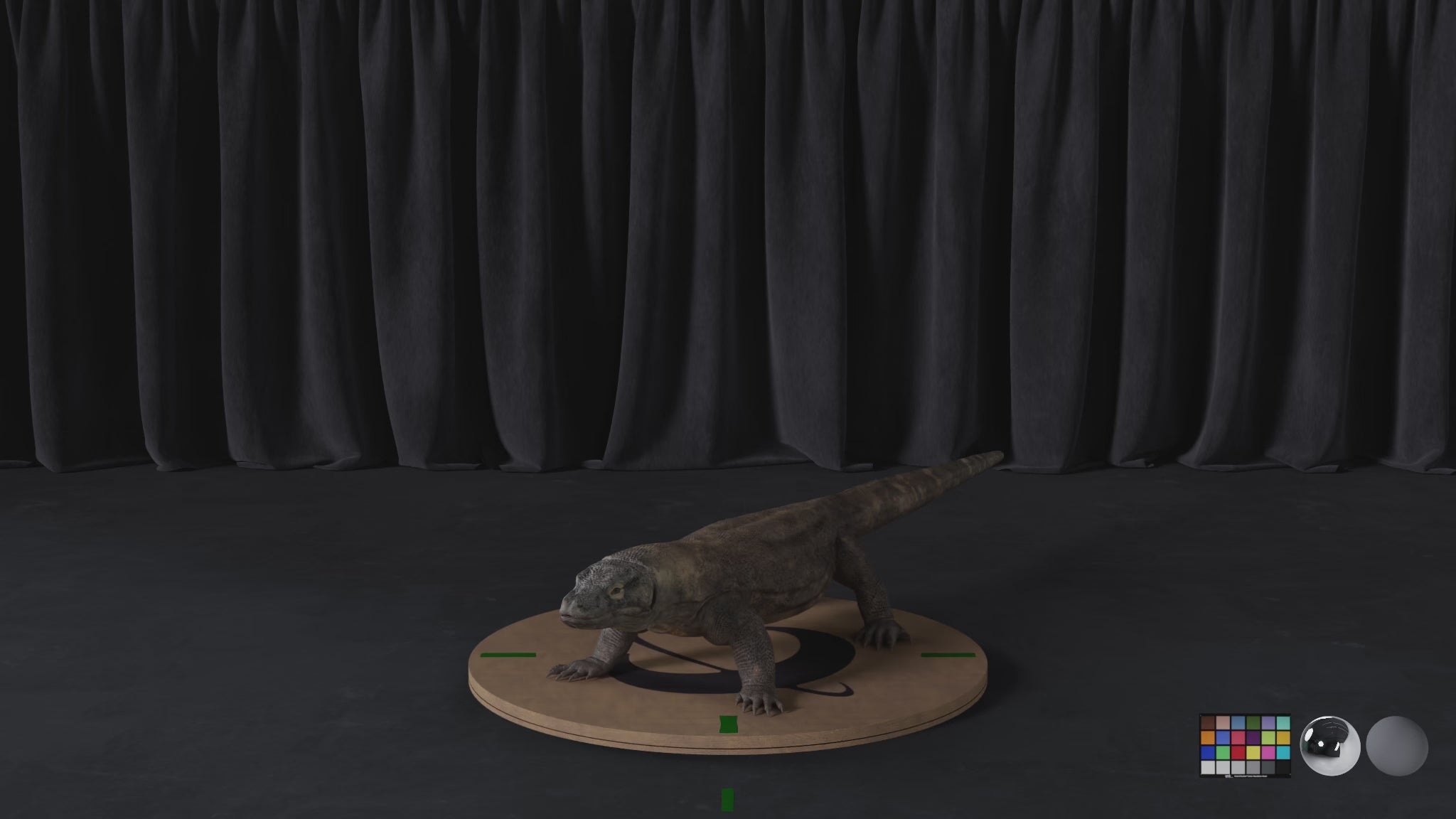 Komodo Dragon