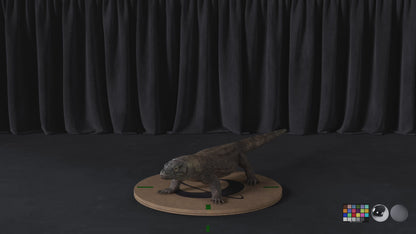 Komodo Dragon