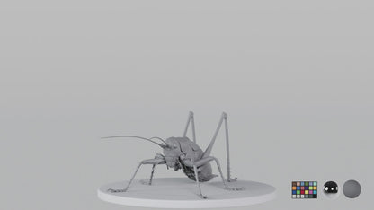 Cricket