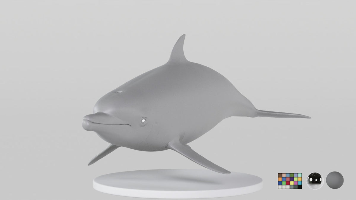 Dolphin