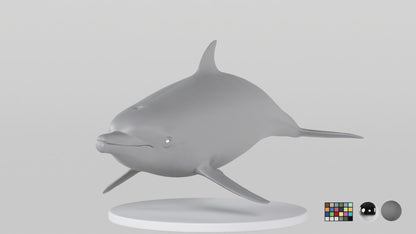 Dolphin