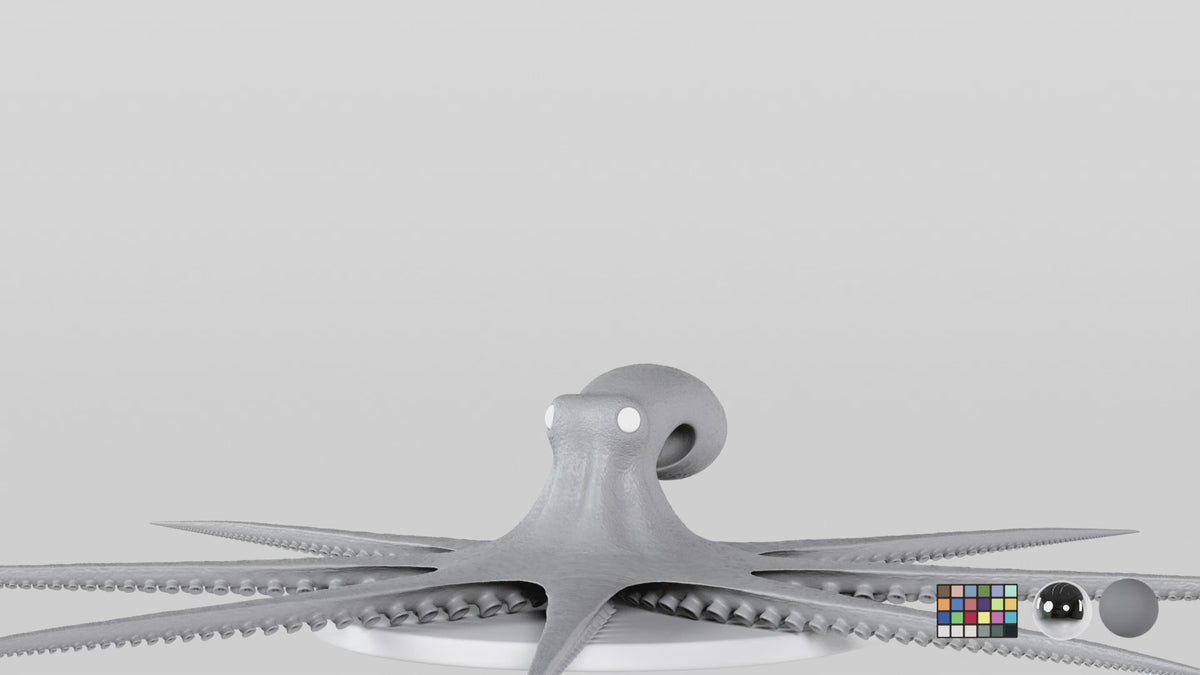 Octopus