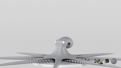 Octopus
