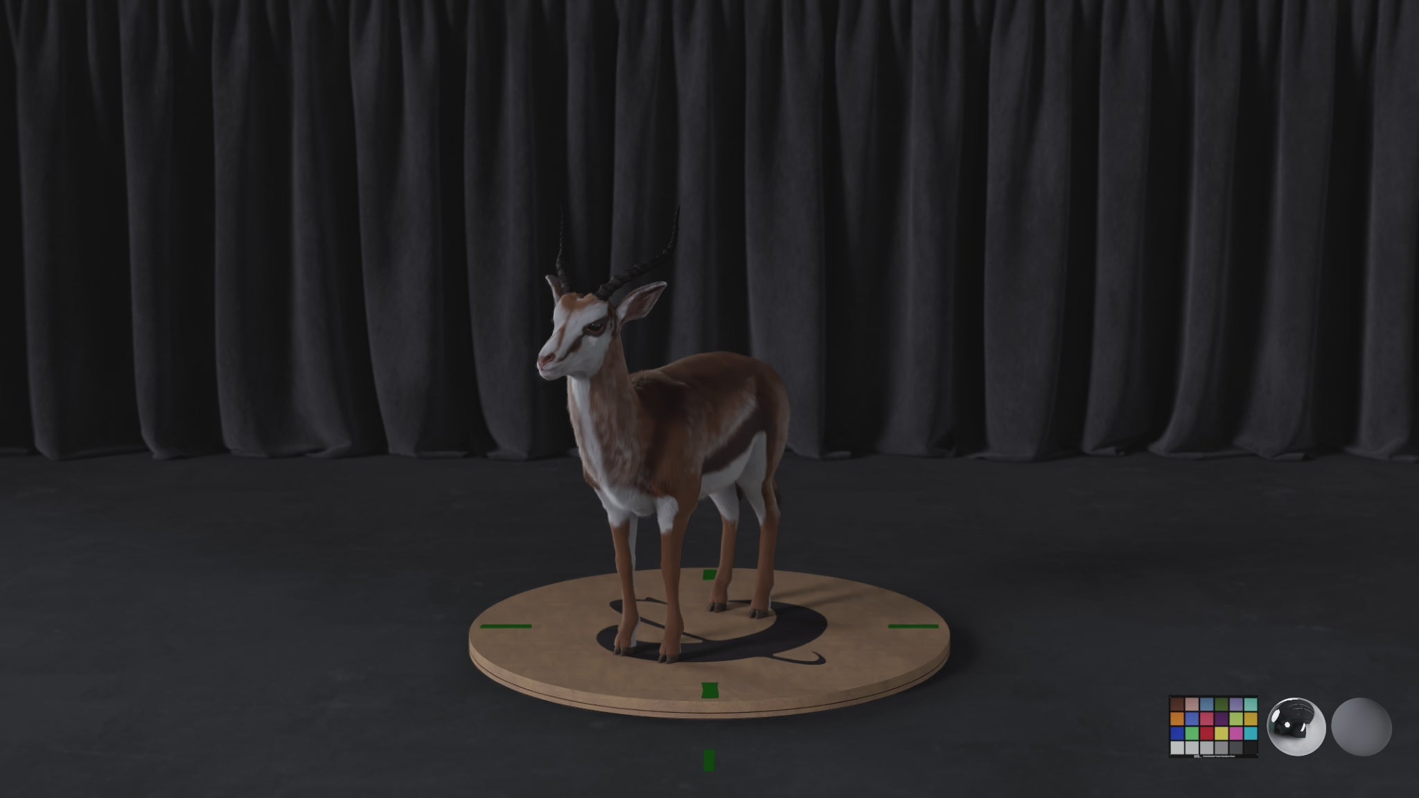 Antelope