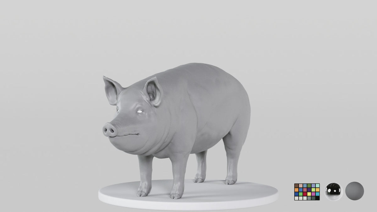 Pig