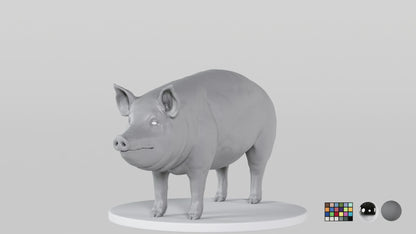 Pig