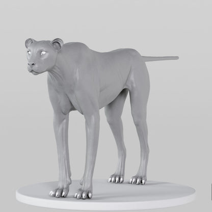 Cheetah