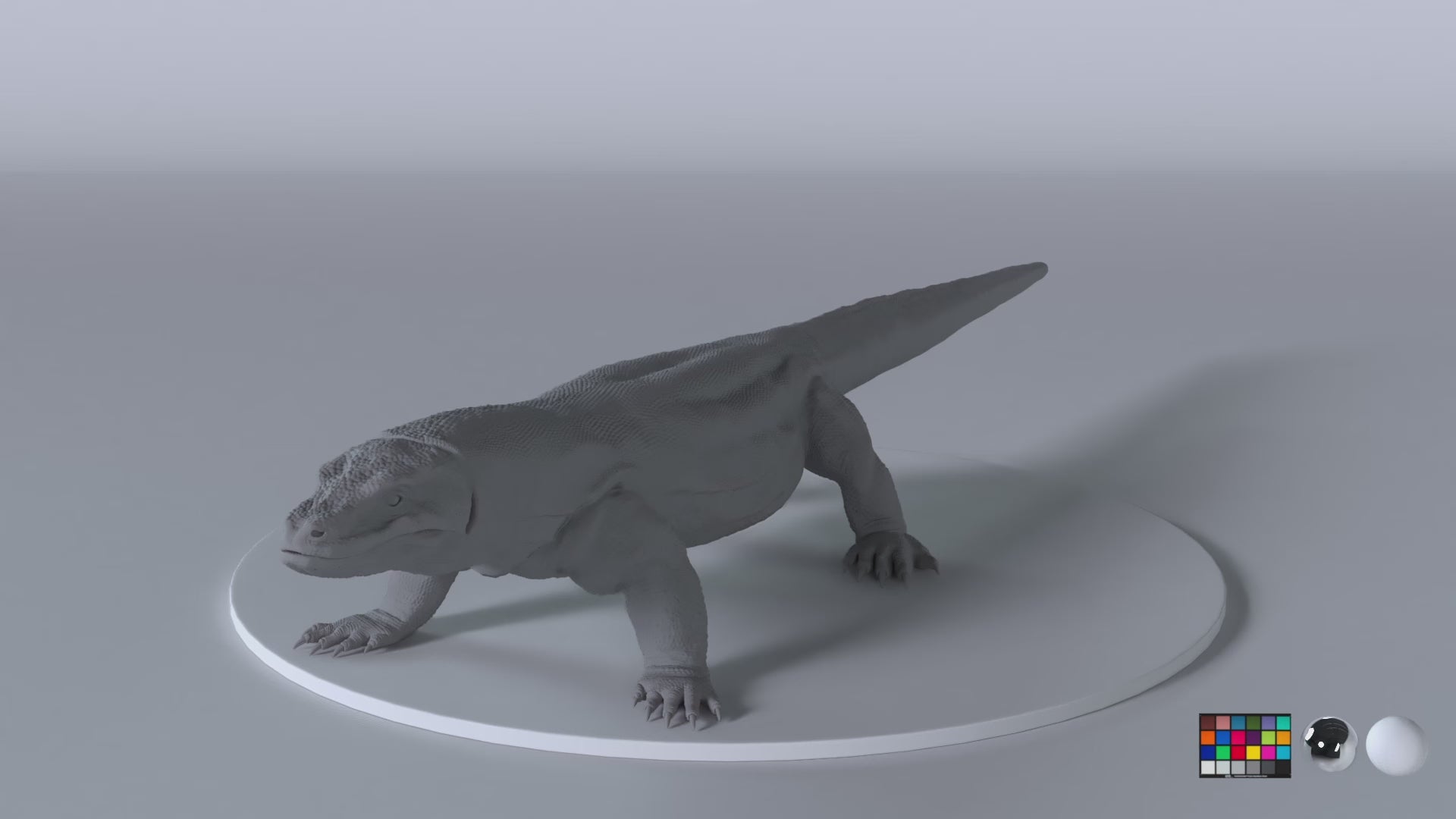 Komodo Dragon