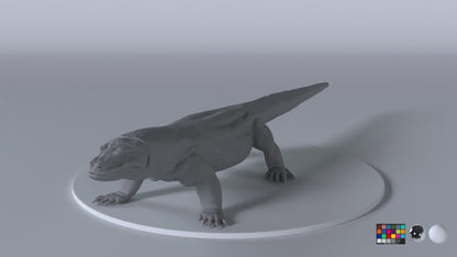 Komodo Dragon