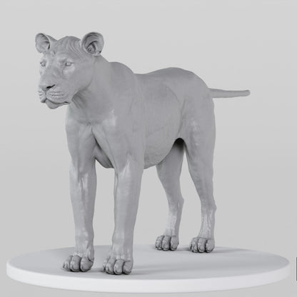 Lioness