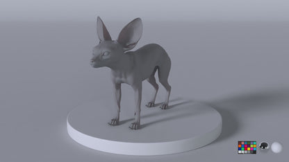 Fennec Fox