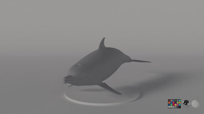 Dolphin