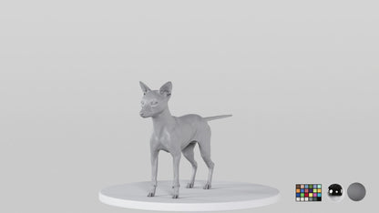 Fox