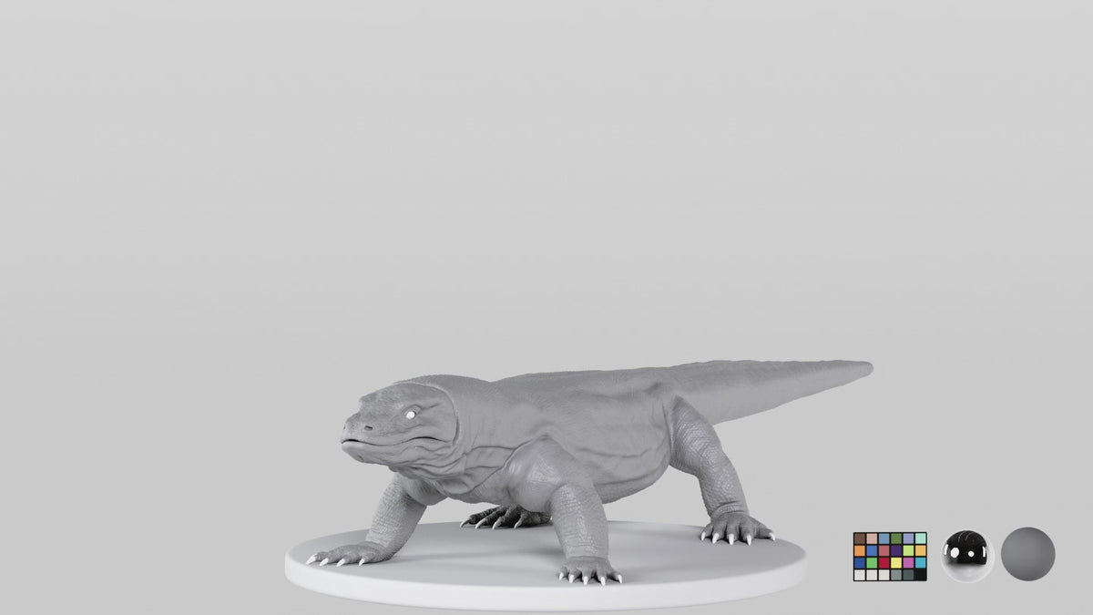 Komodo Dragon