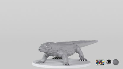 Komodo Dragon