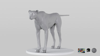 Cheetah