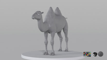 Camel