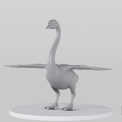 Swan