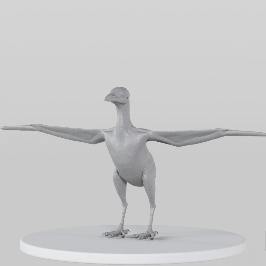 Load video: Crow