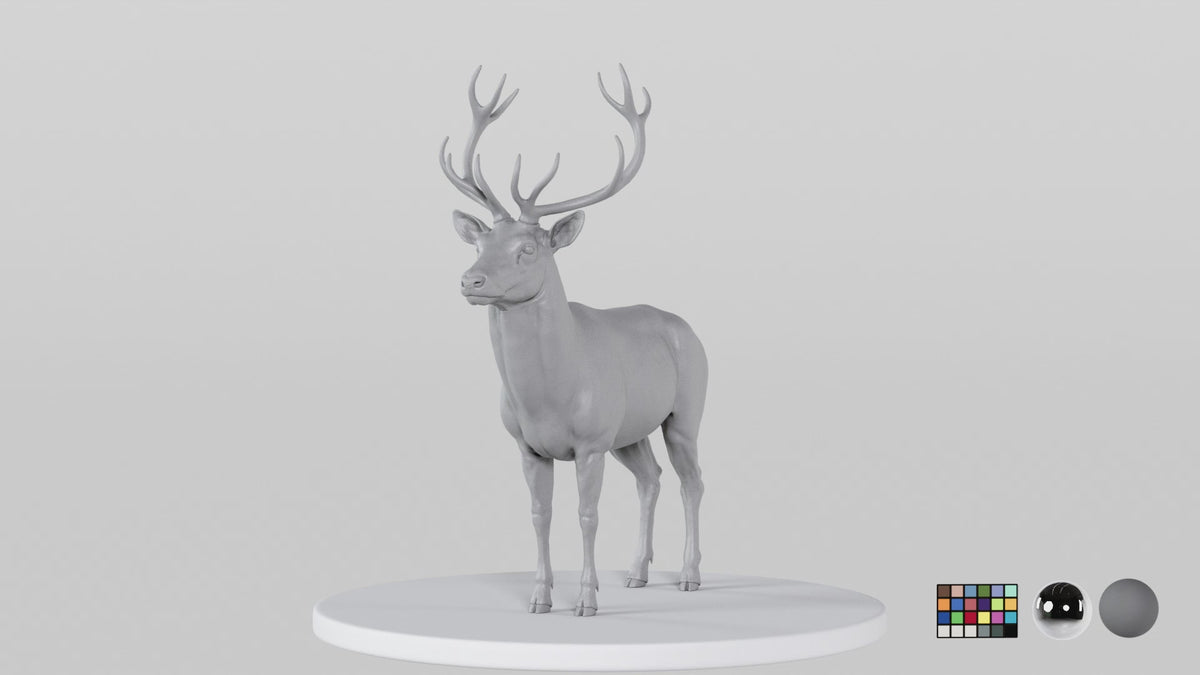 Stag