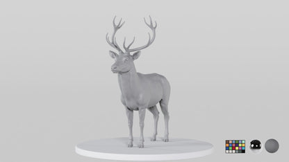 Stag
