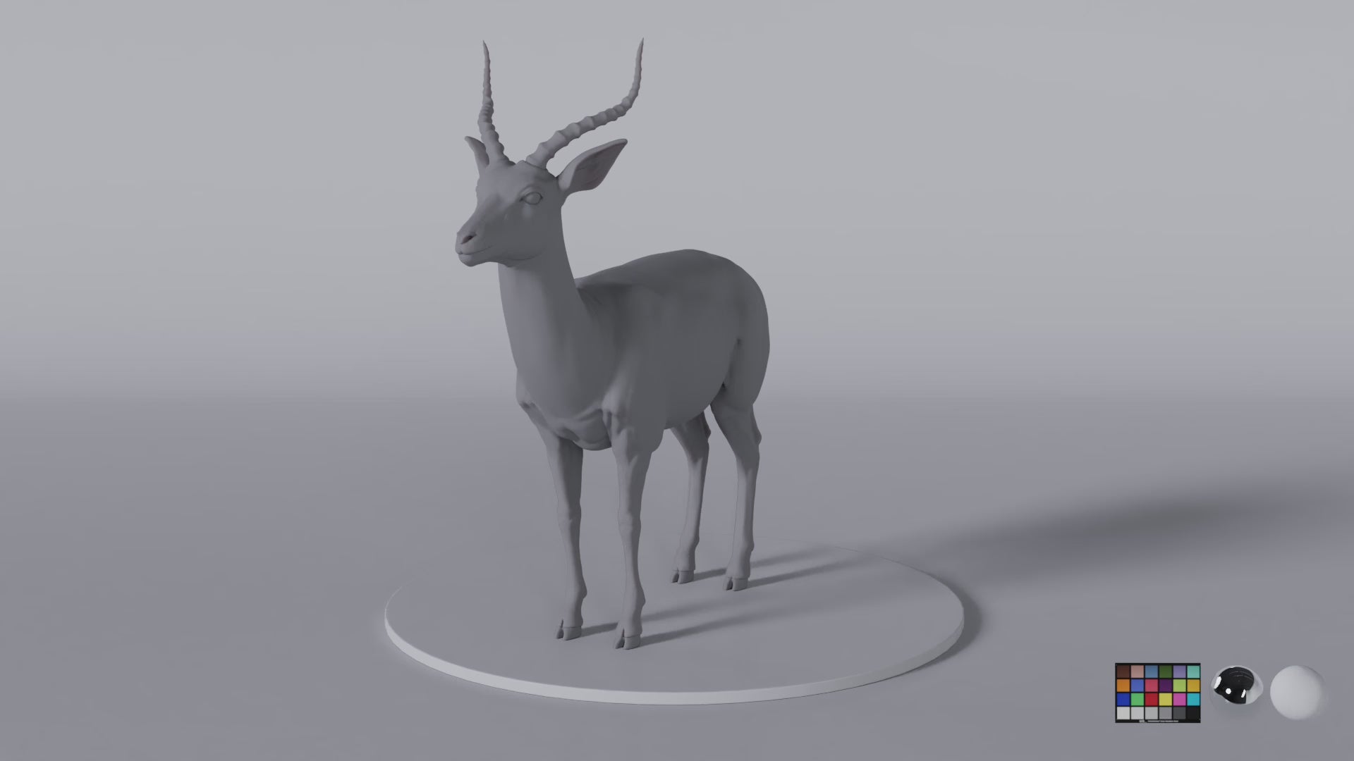 Antelope