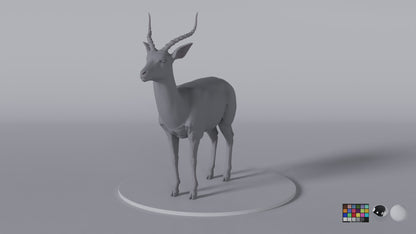 Antelope
